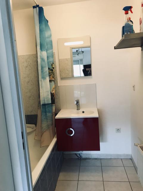 Location appartement T2 Montpellier - Photo 3