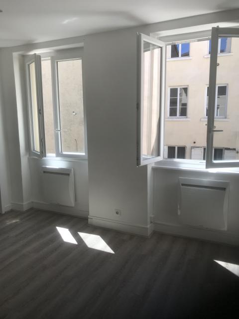 Location appartement T1 Lyon 4 - Photo 5