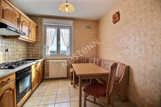 Location appartement T3 St Avold - Photo 3