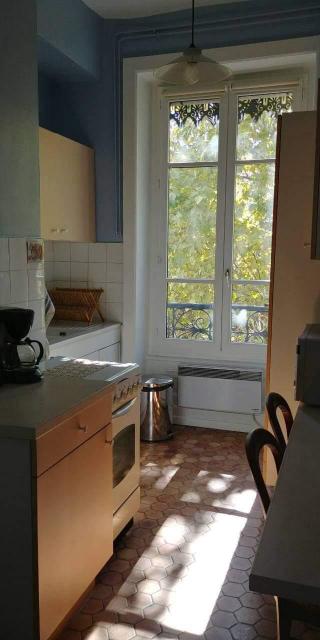 Location appartement T2 Lyon 3 - Photo 4