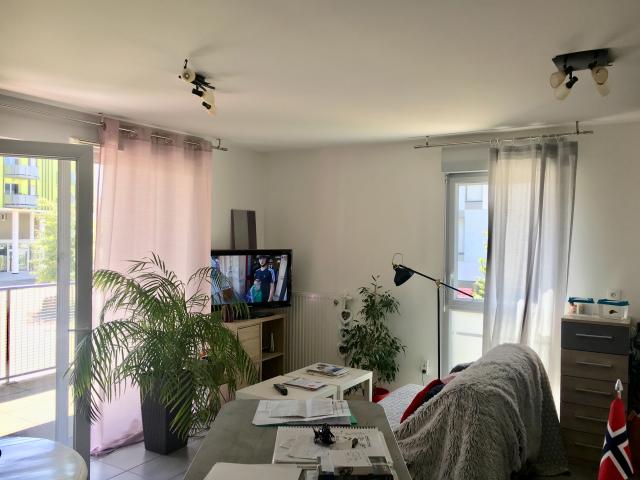 Location appartement T3 Nantes - Photo 10