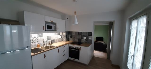 Location appartement T2 St Etienne - Photo 3