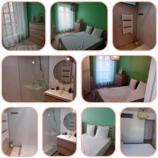 Location appartement T2 St Etienne - Photo 6