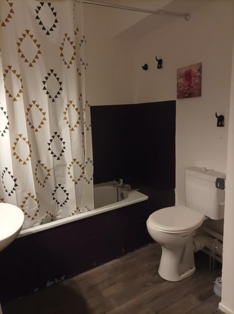 Location appartement T2 Strasbourg - Photo 2