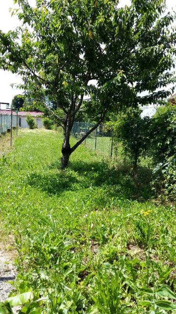 Location maison F6 Pont de Poitte - Photo 2