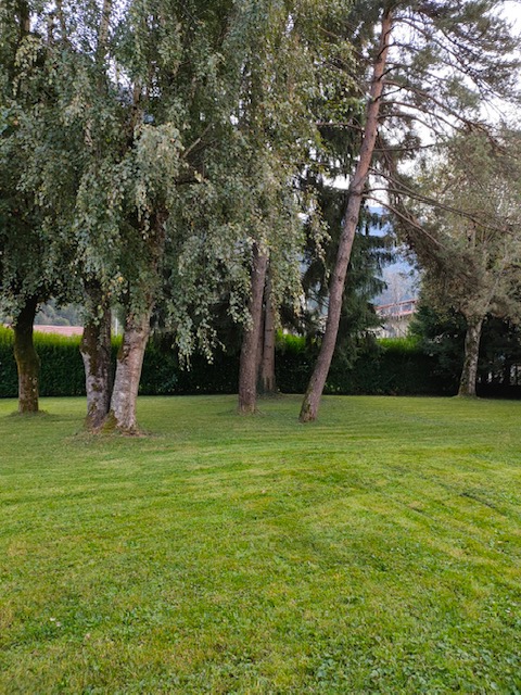Location appartement T3 Cluses - Photo 5