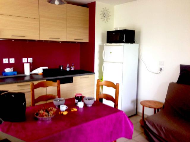 Location appartement T2 St Priest - Photo 3