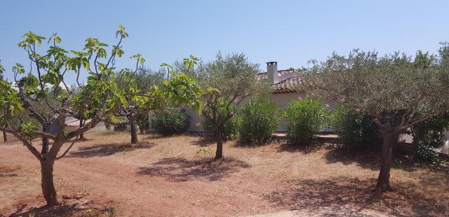 Location maison F4 Cuers - Photo 10