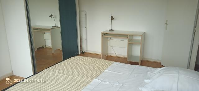 Location appartement T3 Strasbourg - Photo 3
