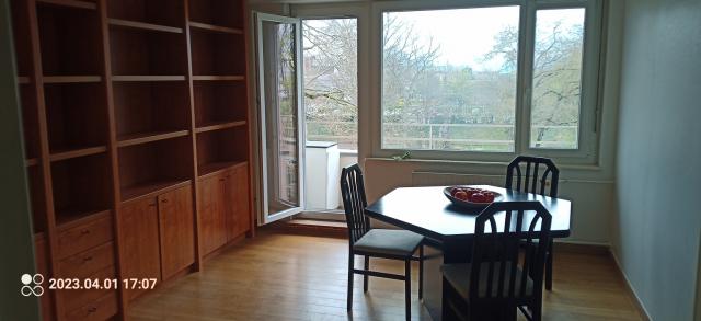 Location appartement T3 Strasbourg - Photo 5
