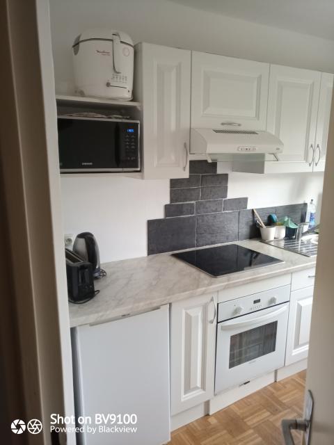 Location appartement T3 Strasbourg - Photo 6