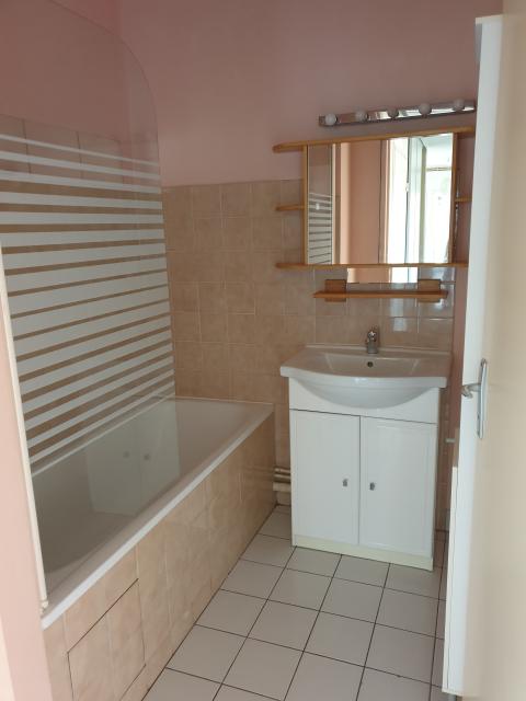 Location appartement T3 Toulouse - Photo 6