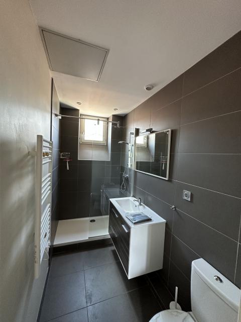 Location appartement T2 Lyon 9 - Photo 7