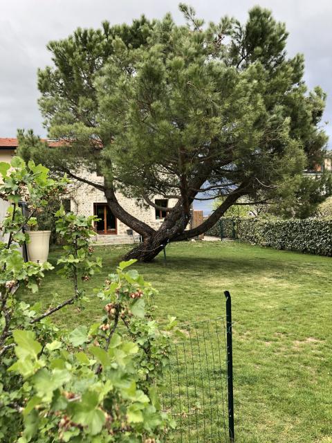 Location maison F5 Ville la Grand - Photo 3