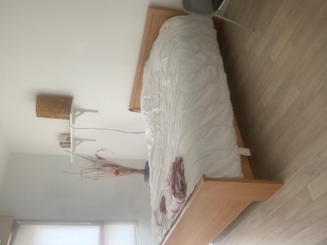 Location appartement T1 Sotteville les Rouen - Photo 2