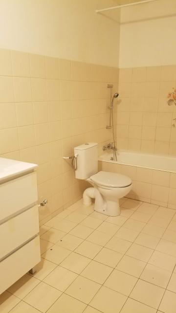 Location appartement T3 Toulouse - Photo 9