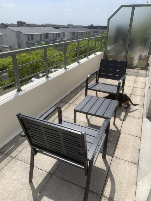 Location appartement T2 Montevrain - Photo 3
