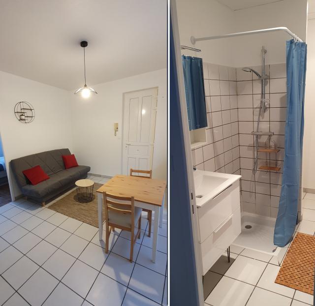 Location appartement T2 St Etienne - Photo 2