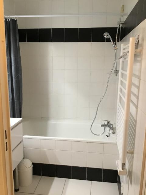 Location appartement T2 Toulouse - Photo 7