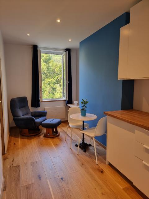 Location appartement T2 Grenoble - Photo 3
