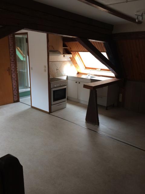 Location appartement T3 Pfaffenhoffen - Photo 2