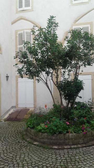 Location appartement T2 Metz - Photo 5