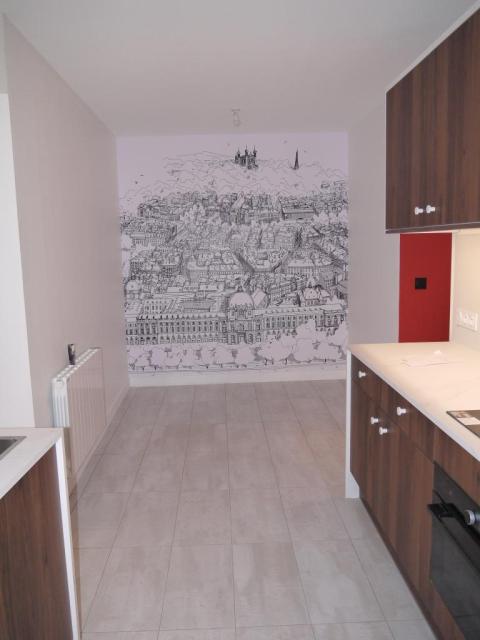 Location appartement T4 Lyon 1 - Photo 7
