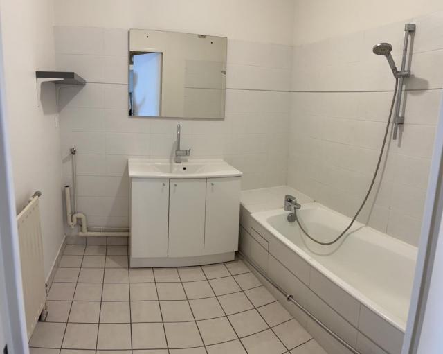 Location appartement T2 Lyon 3 - Photo 4