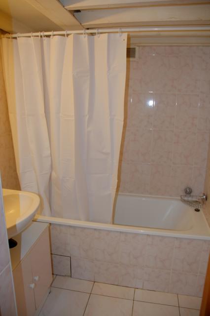 Location appartement T2 Lyon 4 - Photo 2