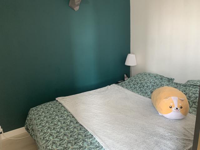 Location appartement T1 Nantes - Photo 3