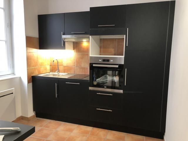 Location appartement T2 Lyon 4 - Photo 5
