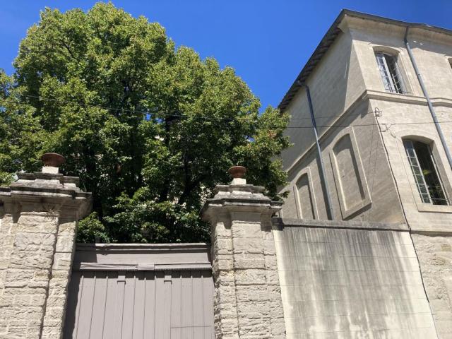 Location appartement T2 Avignon - Photo 10