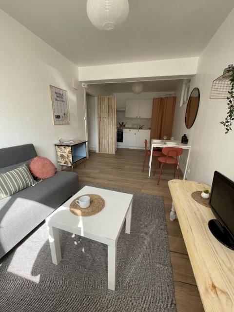 Location appartement T2 Toulouse - Photo 3