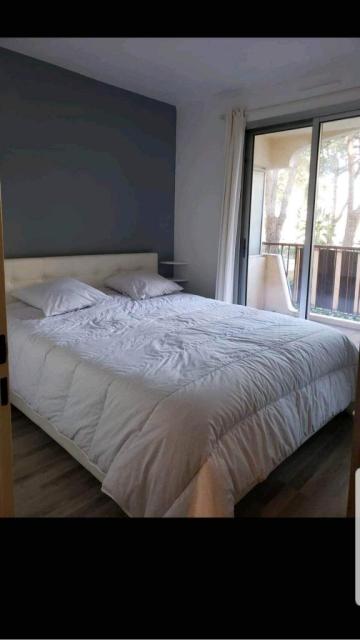 Location appartement T2 Mandelieu la Napoule - Photo 3