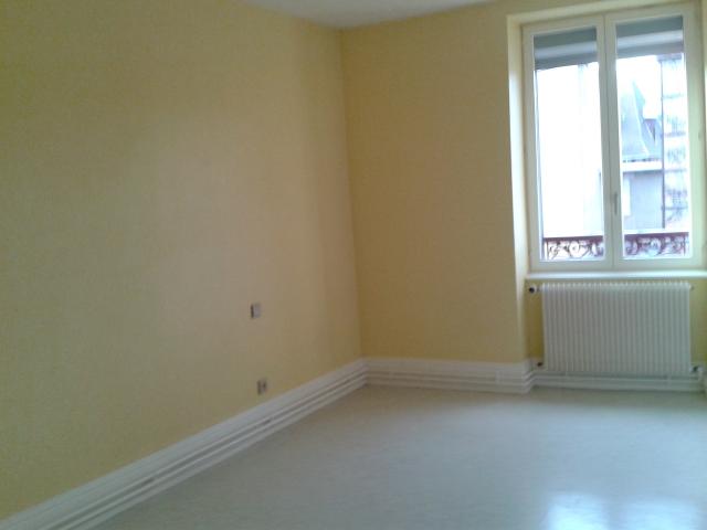 Location appartement T3 Belfort - Photo 2