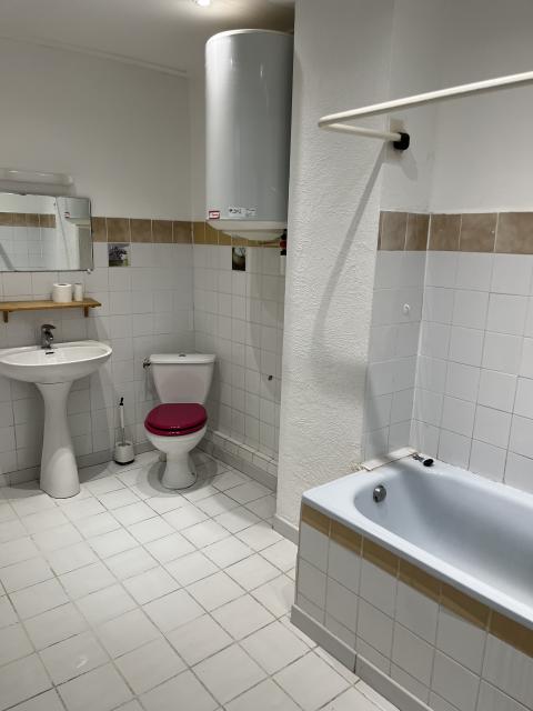 Location appartement T3 Miramont de Guyenne - Photo 3