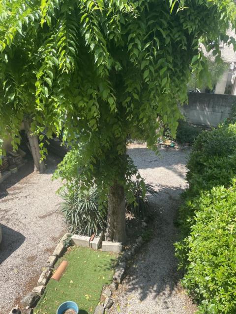 Location studio Avignon - Photo 3
