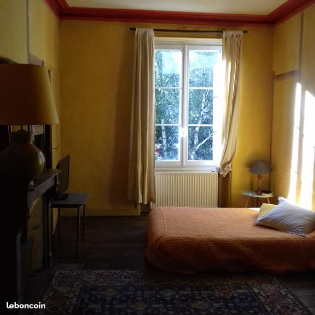 Location appartement T3 Angers - Photo 2