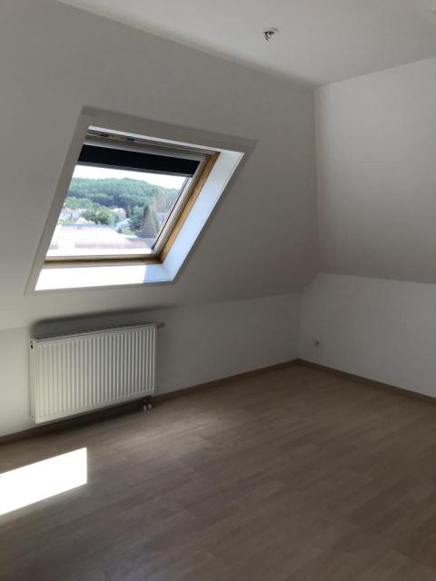 Location appartement T3 Freyming Merlebach - Photo 4