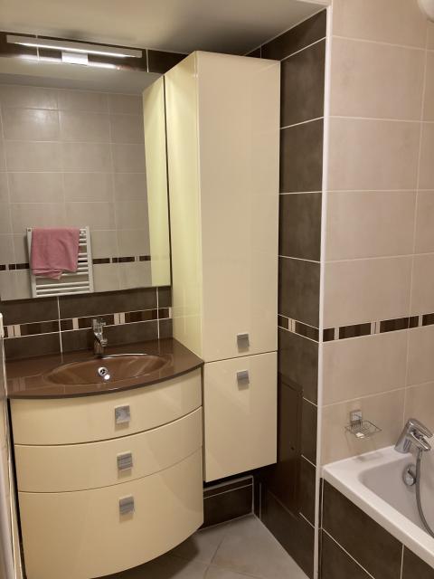 Location appartement T3 Grenoble - Photo 4