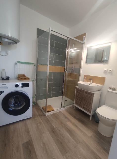 Location appartement T2 Lisle sur Tarn - Photo 4