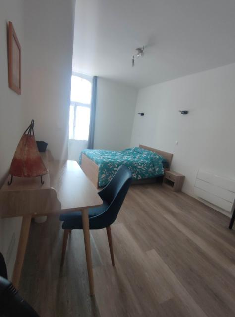 Location appartement T2 Lisle sur Tarn - Photo 5