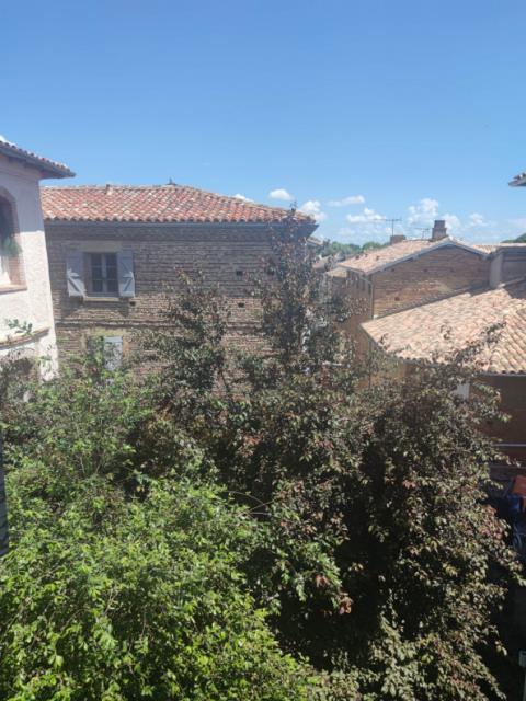 Location appartement T2 Lisle sur Tarn - Photo 8