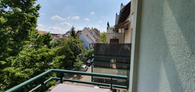 Location appartement T4 Strasbourg - Photo 2
