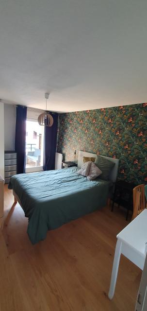 Location appartement T4 Strasbourg - Photo 9