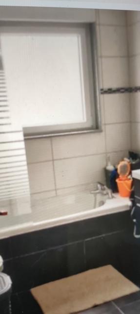 Location appartement T3 Bischwiller - Photo 2