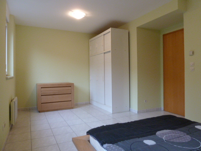 Location appartement T2 Cernay - Photo 3