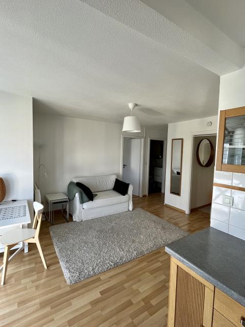 Location appartement T2 Strasbourg - Photo 7