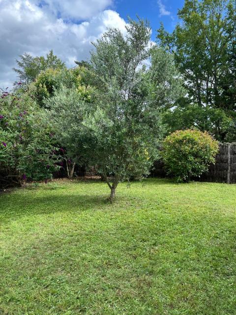 Location maison F3 Leognan - Photo 4