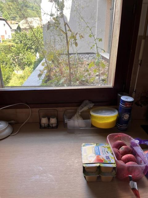 Location appartement T4 Sevrier - Photo 3